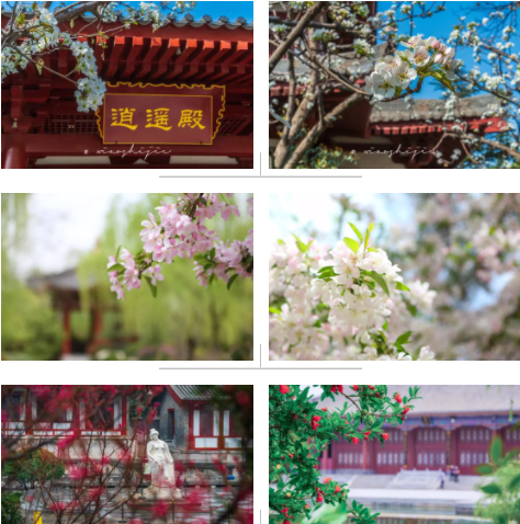微信圖片_20220214101856.png