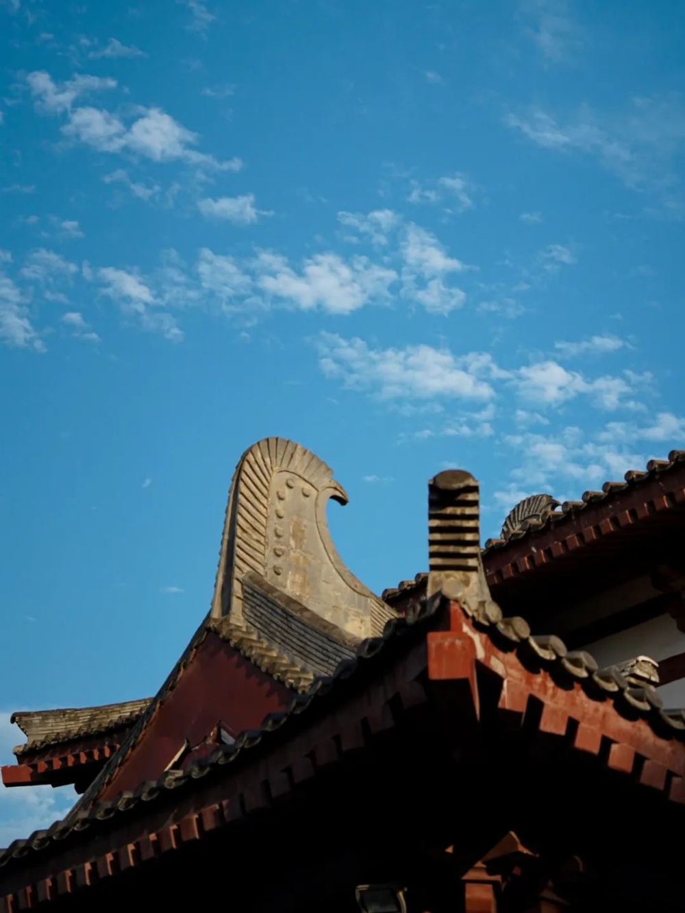 3635c8c7523e823117af9c2daf93b4c_副本.jpg