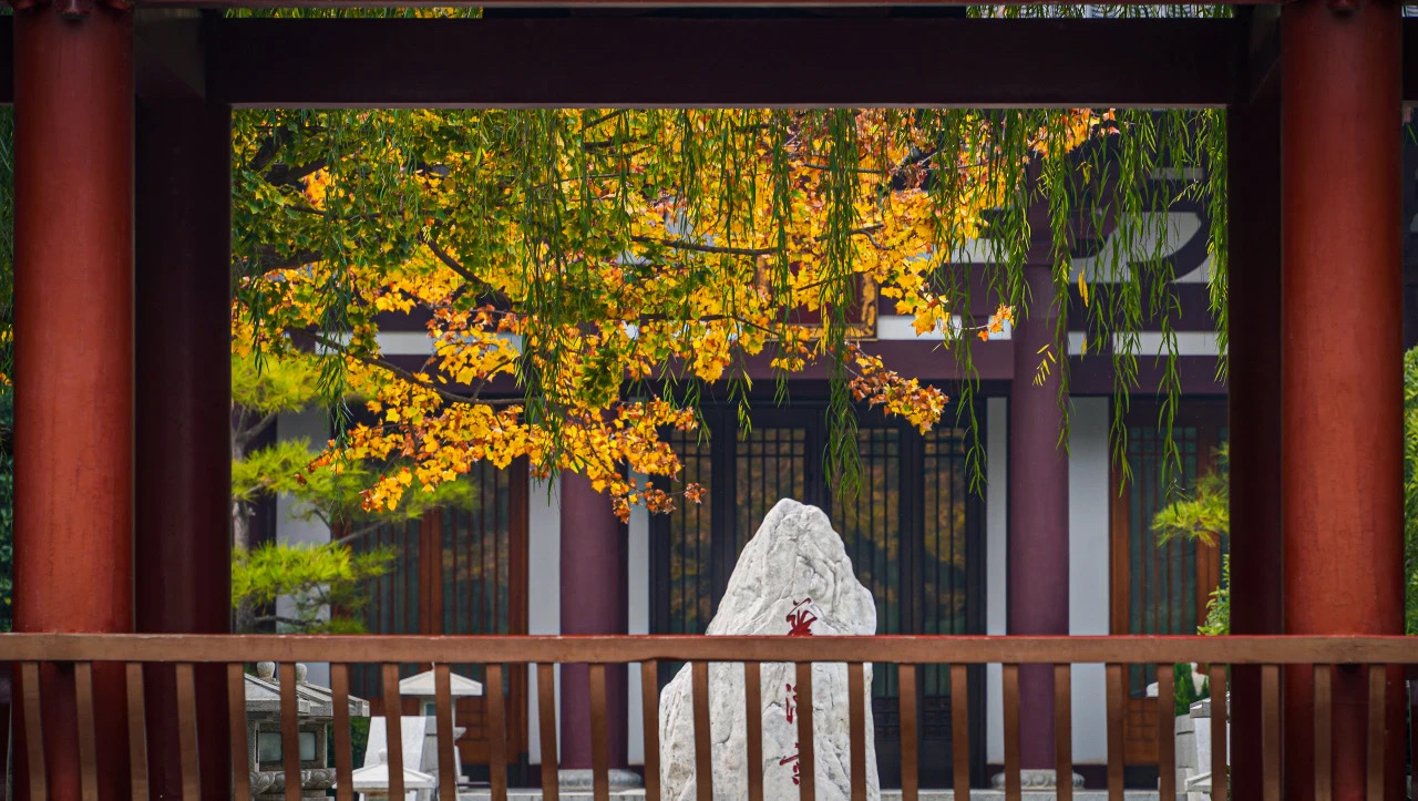 a4dcbd64351055f507d573df97f3f36.jpg